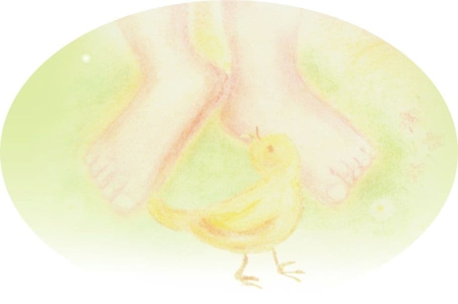法人のイメージイラスト